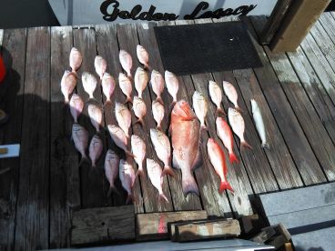 Panama City Beach Report Photo 2