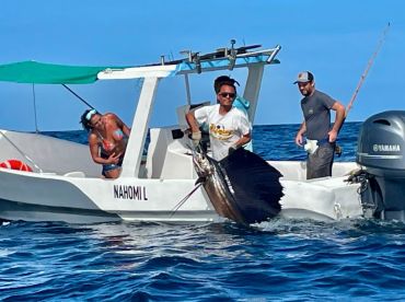 sail fish half day 