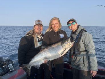 The big kings RETURN! 