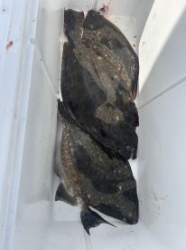 August ,things are heating up!!