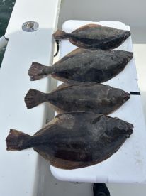 Dagsboro Report Photo 1
