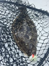 Dagsboro Report Photo 3