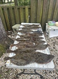 Dagsboro Report Photo 2