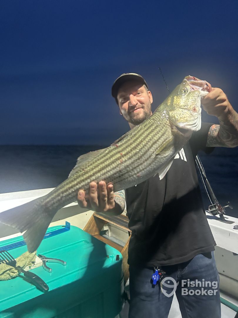Greenport Report Photo 0