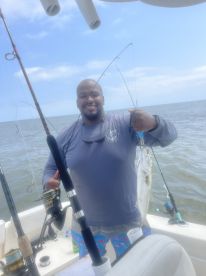 Kitty Hawk Report Photo 1