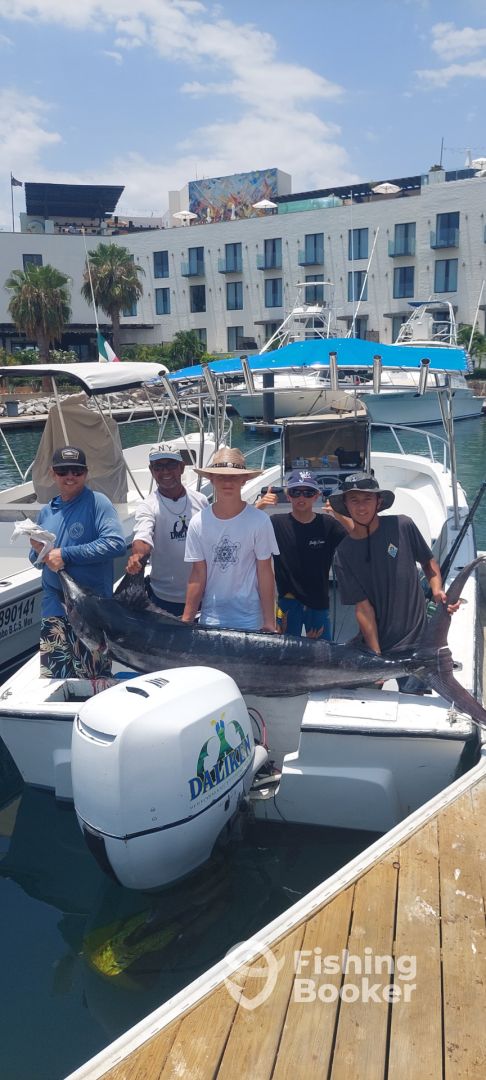 San Jose del Cabo Report Photo 0