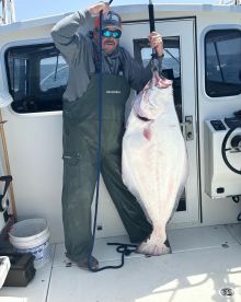 Harbor Report Photo 1