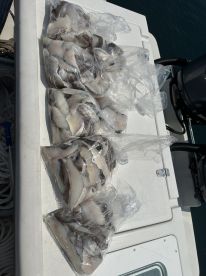 Salem Report Photo 2
