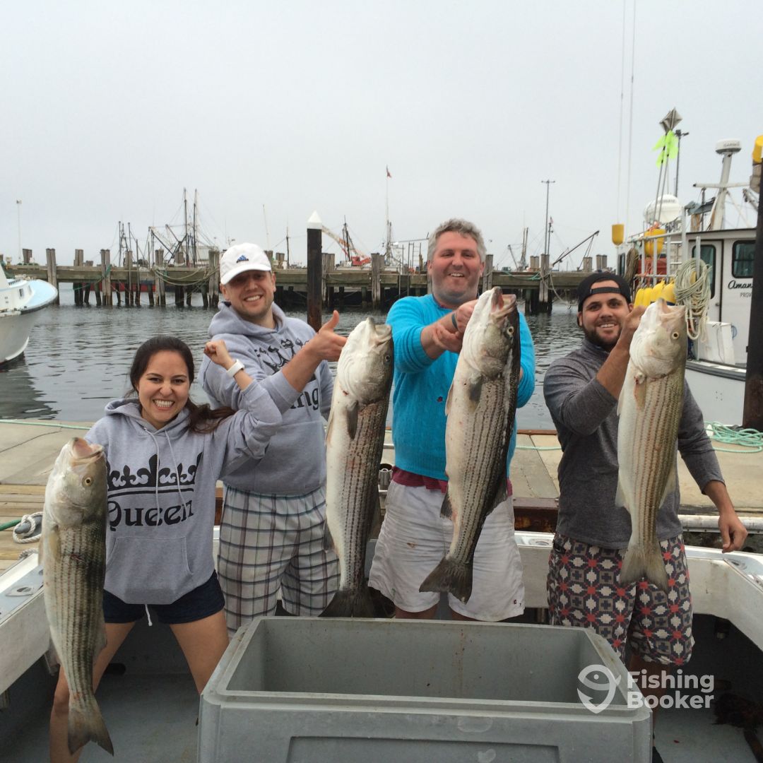 Provincetown Report Photo 0
