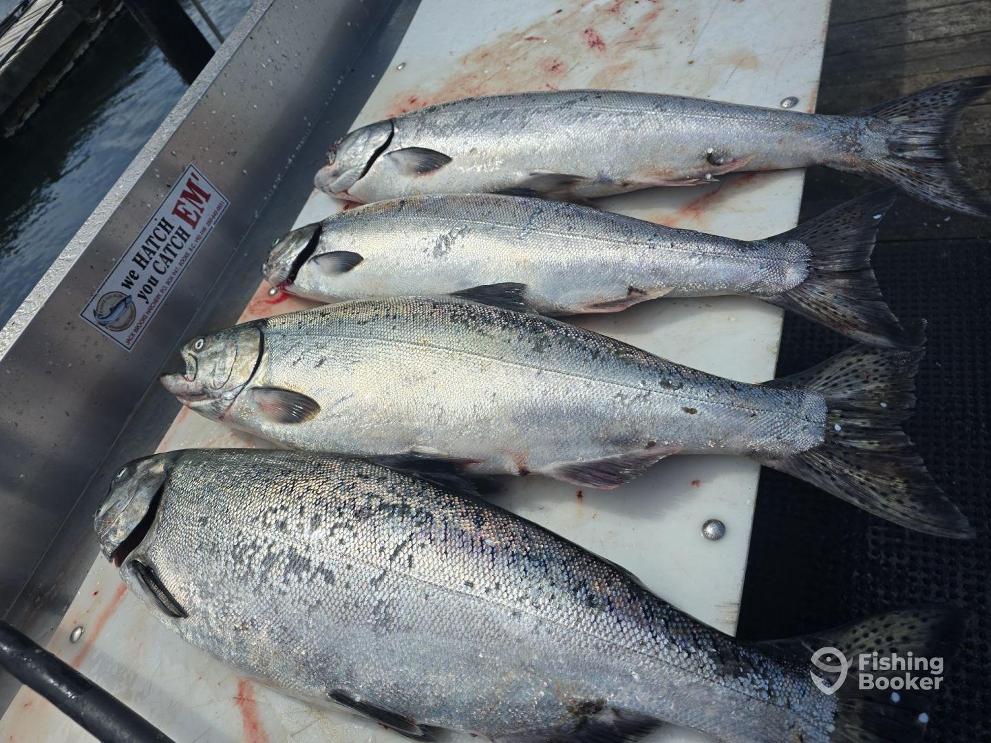 Sooke Report Photo 0