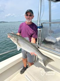 Essex Report Photo 1