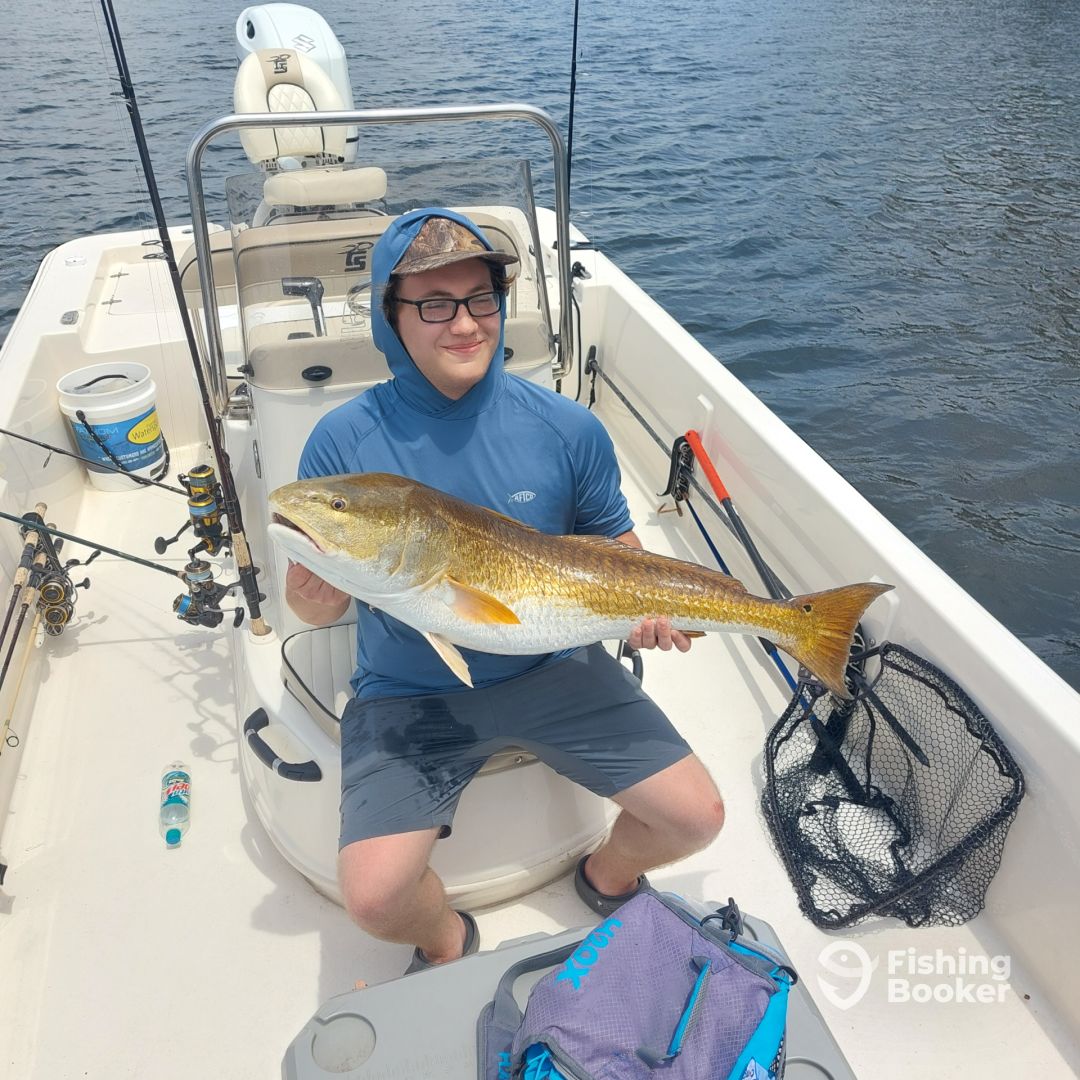 Panama City Report Photo 0