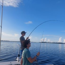 Panama City Report Photo 2