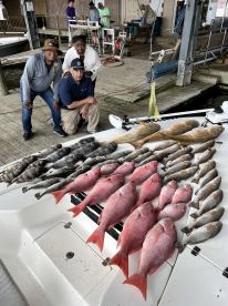 Venice Report Photo 2
