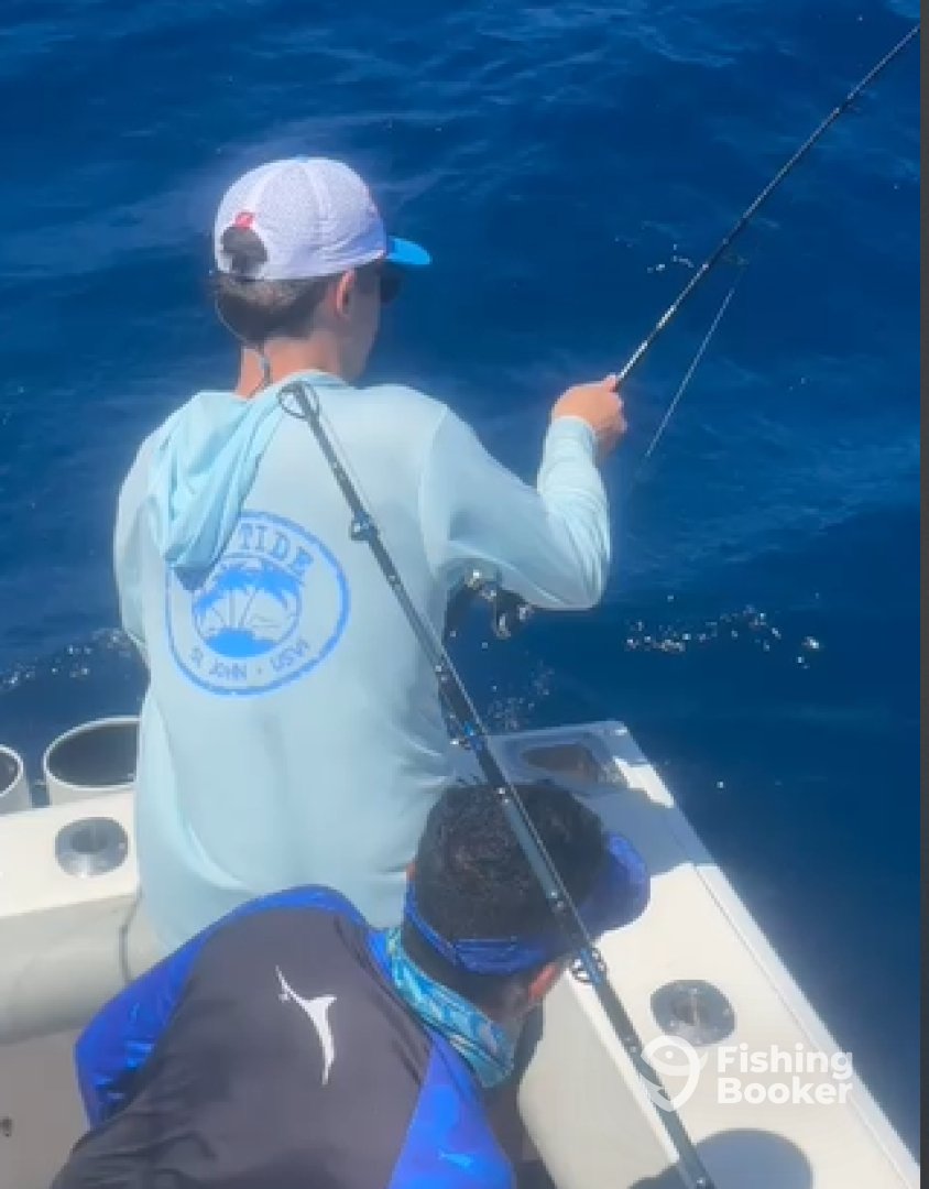 Cabo San Lucas Report Photo 0