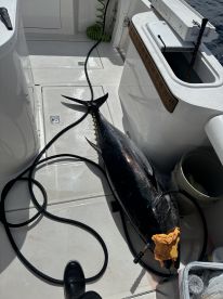 Huntington Beach Report Photo 1