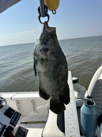 Lake Charles Report Photo 2
