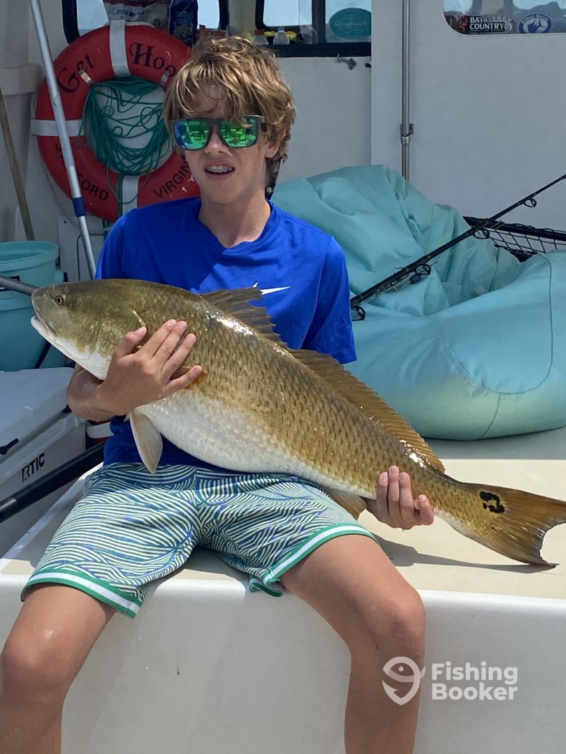 Reedville Report Photo 0
