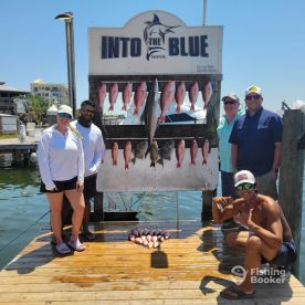 Destin Report Photo 1