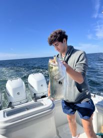 South Kingstown Report Photo 1