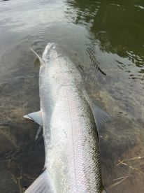 Warrenton Report Photo 1