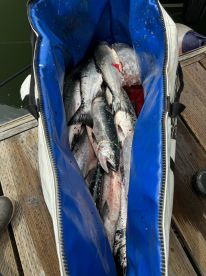 Warrenton Report Photo 3