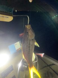 Boynton Beach Report Photo 2