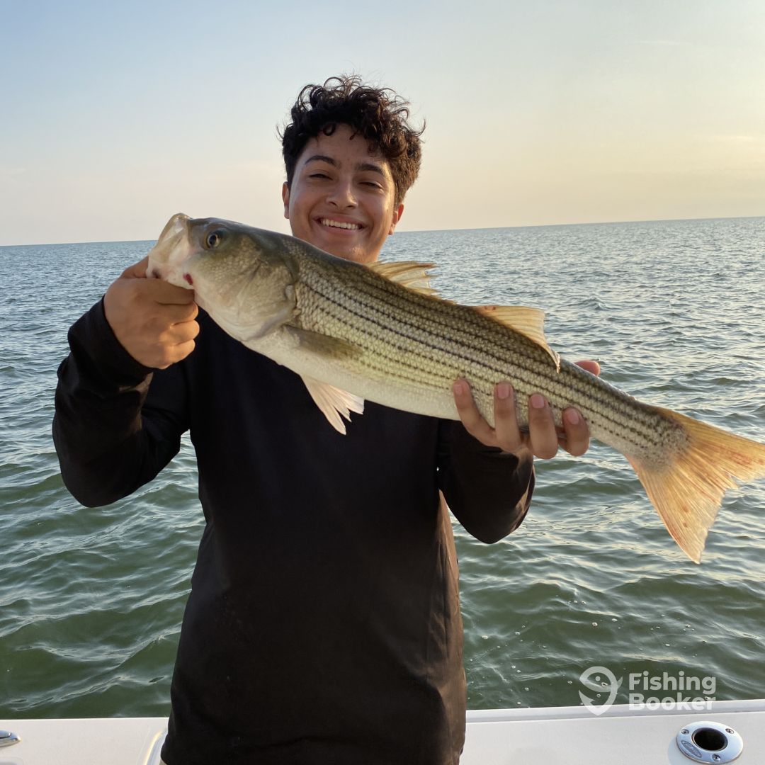 Nanticoke Report Photo 0