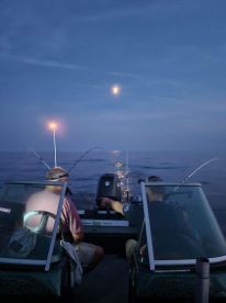 Sturgeon Bay Report Photo 1