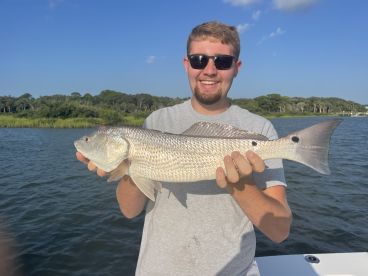 Steady Bite