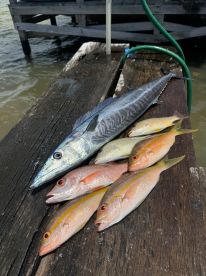 Wahoo! 