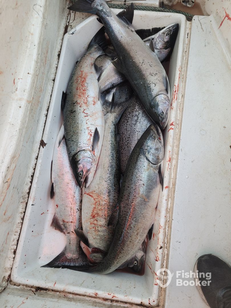 Parksville Report Photo 0