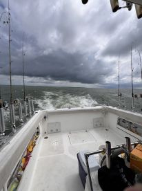 Oak Harbor Report Photo 1