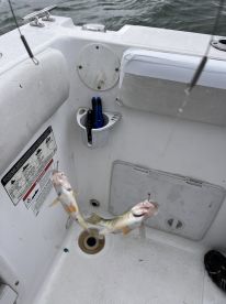 Oak Harbor Report Photo 2