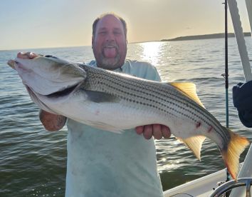 May to Aug. 2024, a recap of some of the