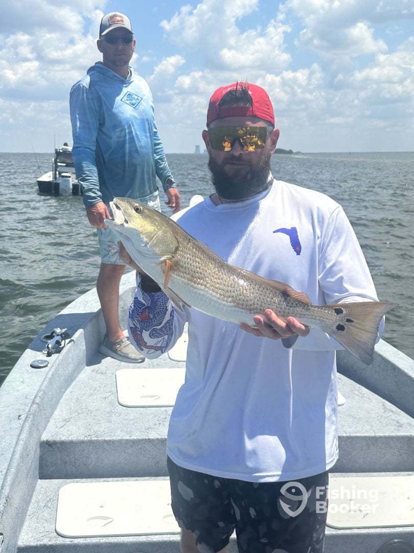 Crystal River Report Photo 0