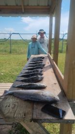 Texas City Report Photo 1