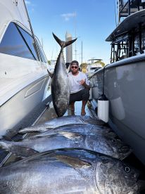Excellent bluefin tuna fishing on the ki
