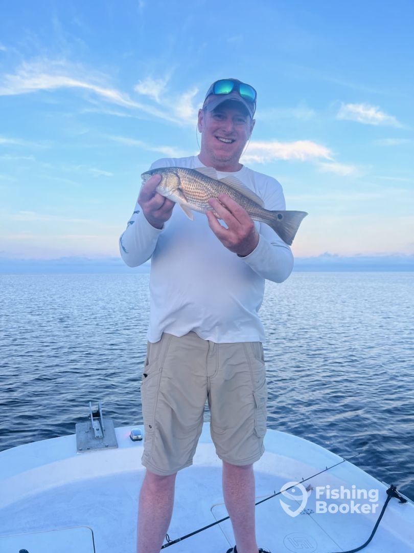 Cedar Key Report Photo 0