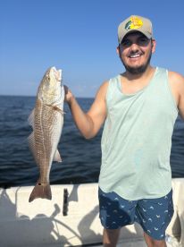 Palm Coast Report Photo 1