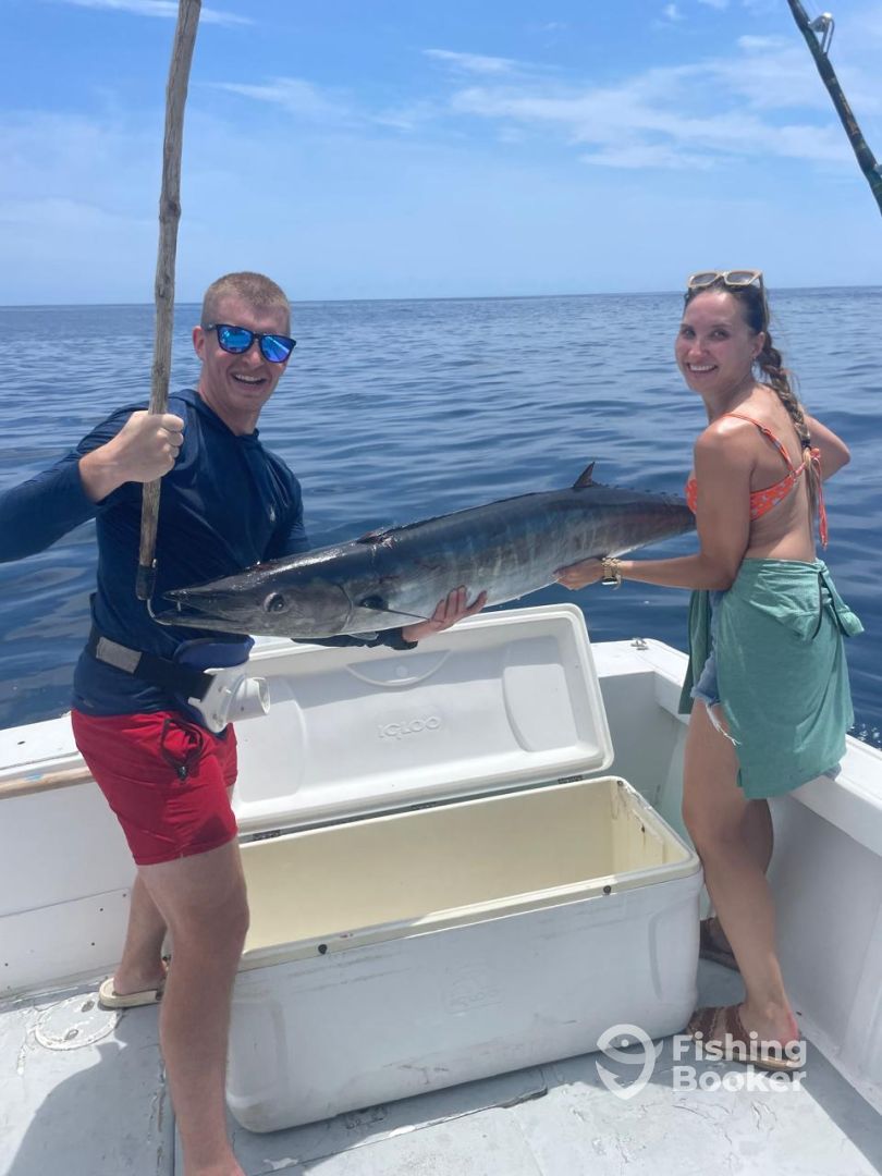 San Jose del Cabo Report Photo 0