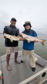 Gamboa Report Photo 1