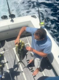 Mahi and tuna