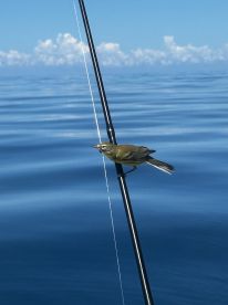 Mother Nature gave use a beautiful weeke