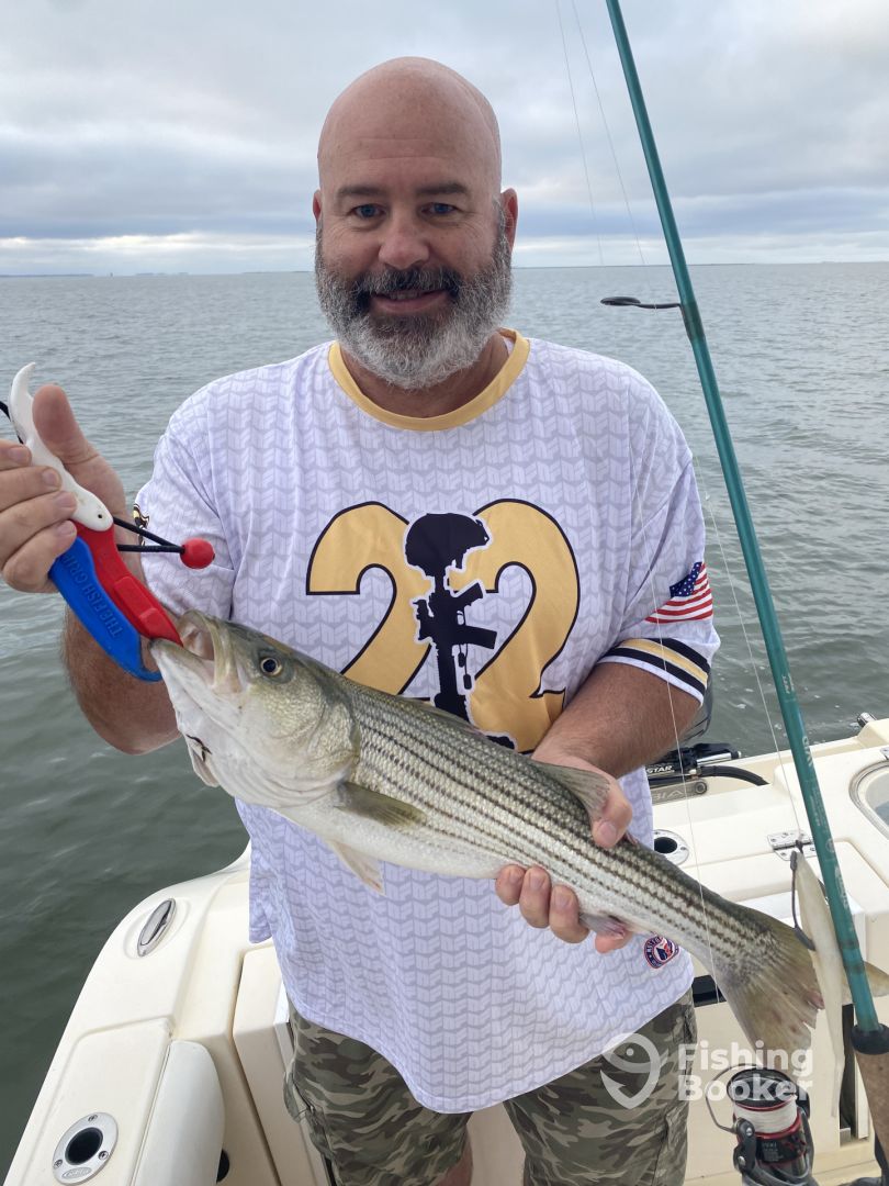 Nanticoke Report Photo 0