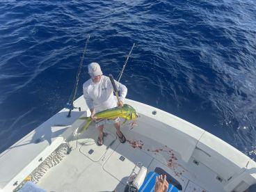 San Miguel De Cozumel Report Photo 4