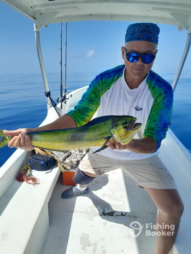 Puerto Morelos Report Photo 0