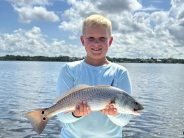 Sarasota Report Photo 1