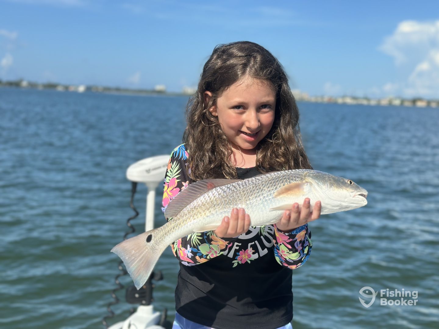 Sarasota Report Photo 0
