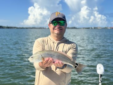 Sarasota Report Photo 1
